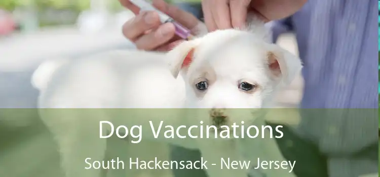 Dog Vaccinations South Hackensack - New Jersey