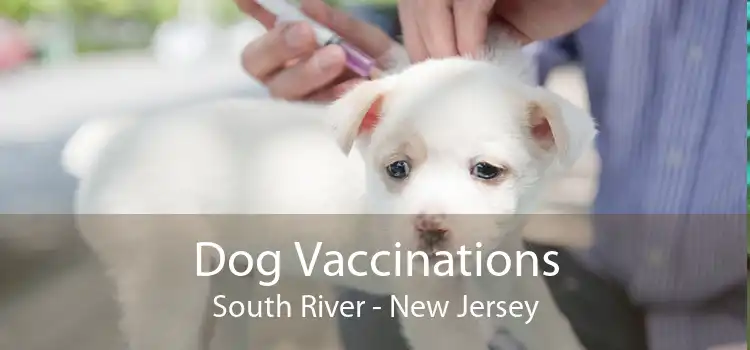 Dog Vaccinations South River - New Jersey