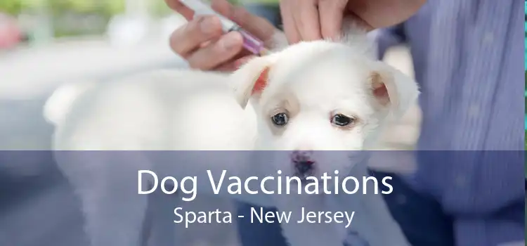 Dog Vaccinations Sparta - New Jersey