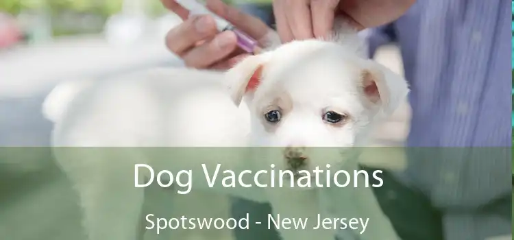 Dog Vaccinations Spotswood - New Jersey