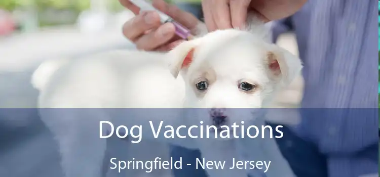 Dog Vaccinations Springfield - New Jersey