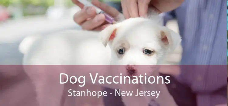 Dog Vaccinations Stanhope - New Jersey