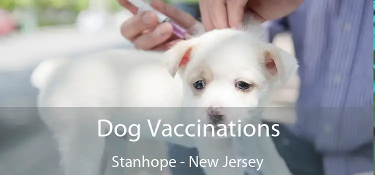Dog Vaccinations Stanhope - New Jersey