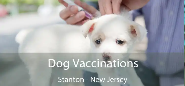 Dog Vaccinations Stanton - New Jersey