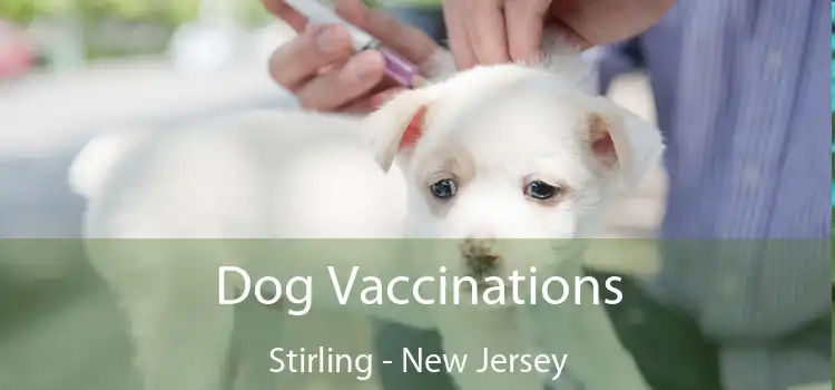 Dog Vaccinations Stirling - New Jersey