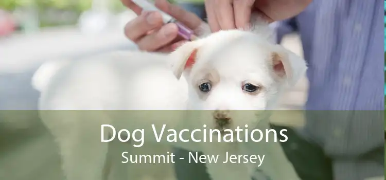 Dog Vaccinations Summit - New Jersey