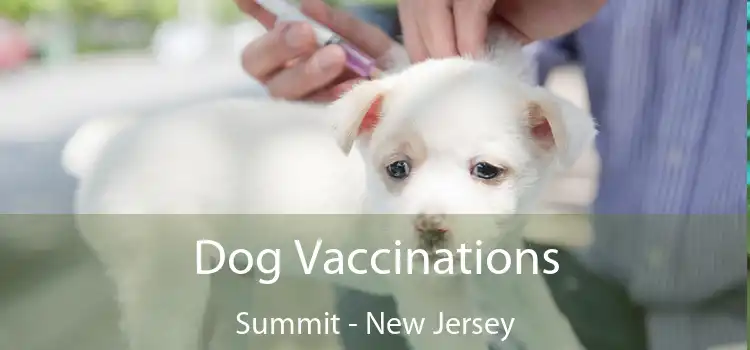 Dog Vaccinations Summit - New Jersey