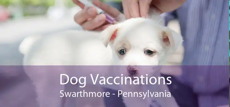 Dog Vaccinations Swarthmore - Pennsylvania