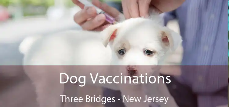 Dog Vaccinations Three Bridges - New Jersey