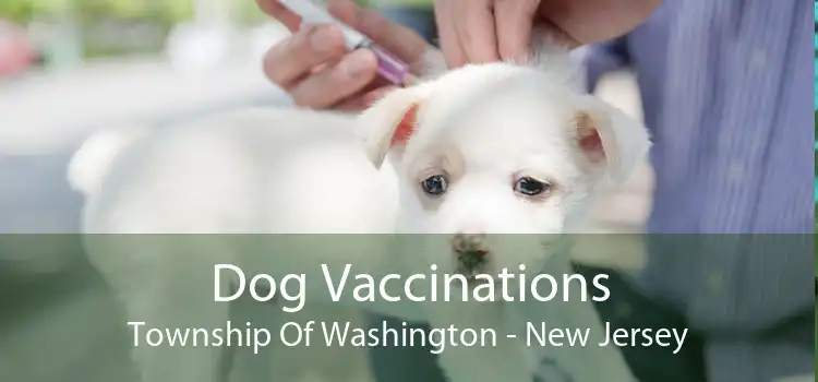 Dog Vaccinations Township Of Washington - New Jersey