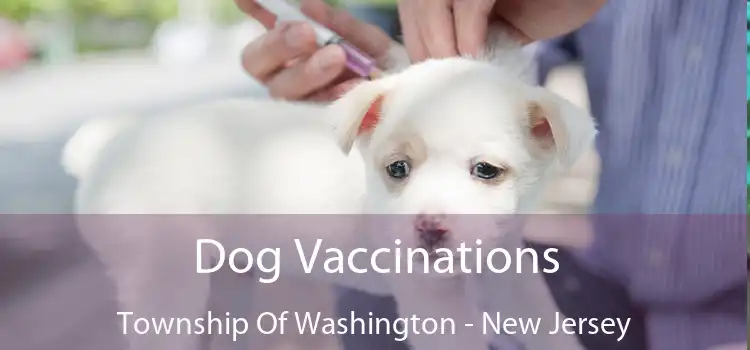 Dog Vaccinations Township Of Washington - New Jersey