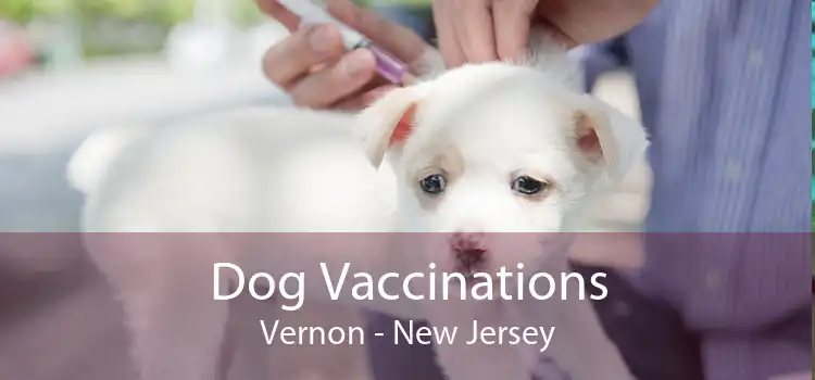 Dog Vaccinations Vernon - New Jersey