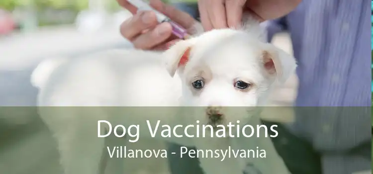 Dog Vaccinations Villanova - Pennsylvania