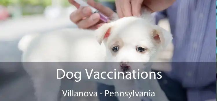Dog Vaccinations Villanova - Pennsylvania