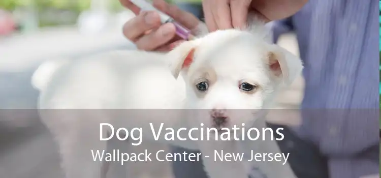Dog Vaccinations Wallpack Center - New Jersey