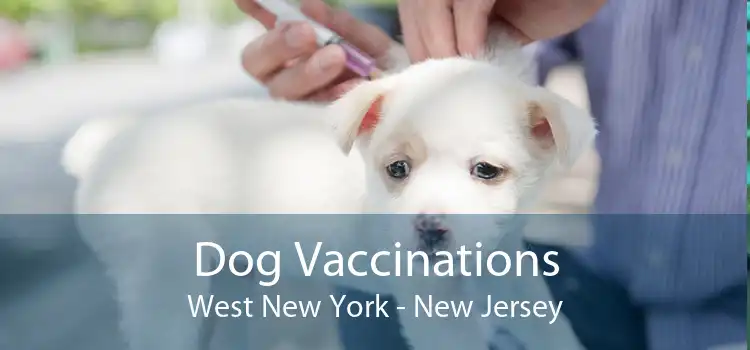 Dog Vaccinations West New York - New Jersey