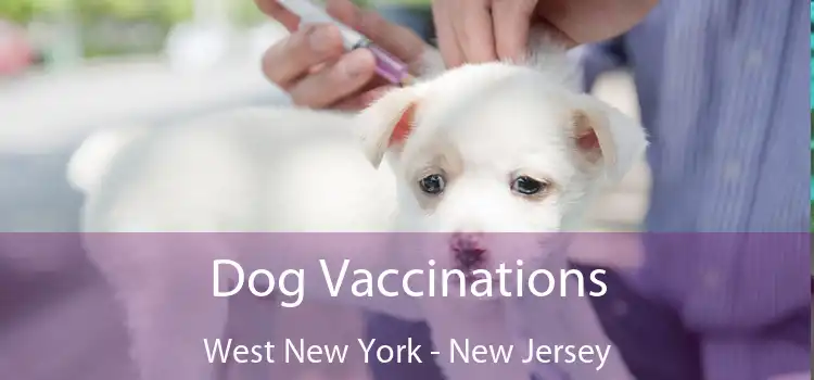 Dog Vaccinations West New York - New Jersey