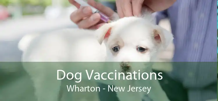 Dog Vaccinations Wharton - New Jersey