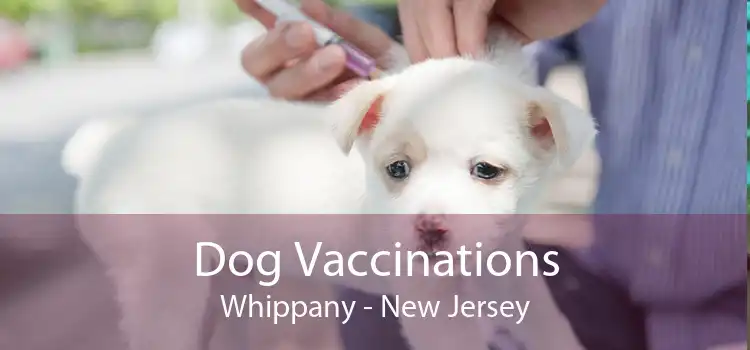 Dog Vaccinations Whippany - New Jersey
