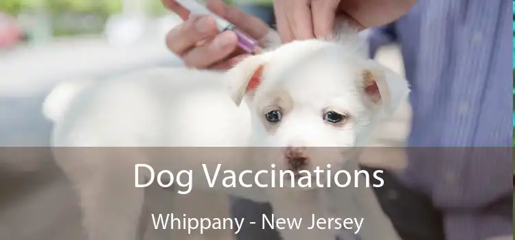 Dog Vaccinations Whippany - New Jersey