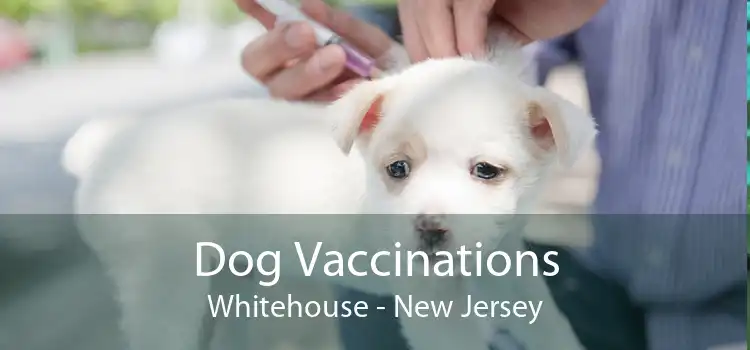 Dog Vaccinations Whitehouse - New Jersey