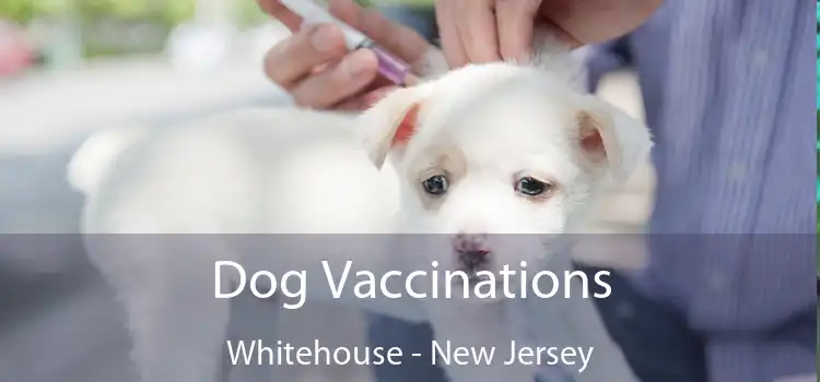 Dog Vaccinations Whitehouse - New Jersey