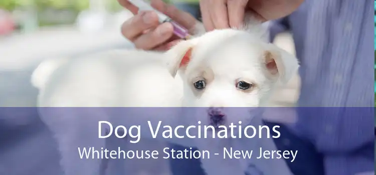 Dog Vaccinations Whitehouse Station - New Jersey