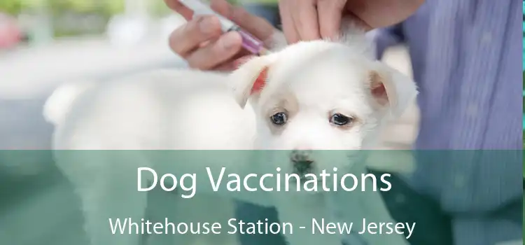 Dog Vaccinations Whitehouse Station - New Jersey