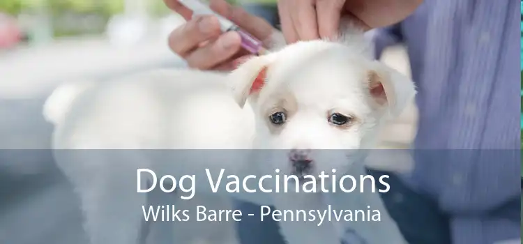 Dog Vaccinations Wilks Barre - Pennsylvania