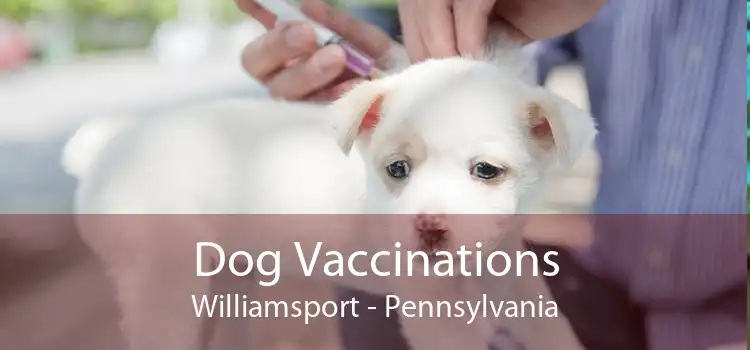 Dog Vaccinations Williamsport - Pennsylvania