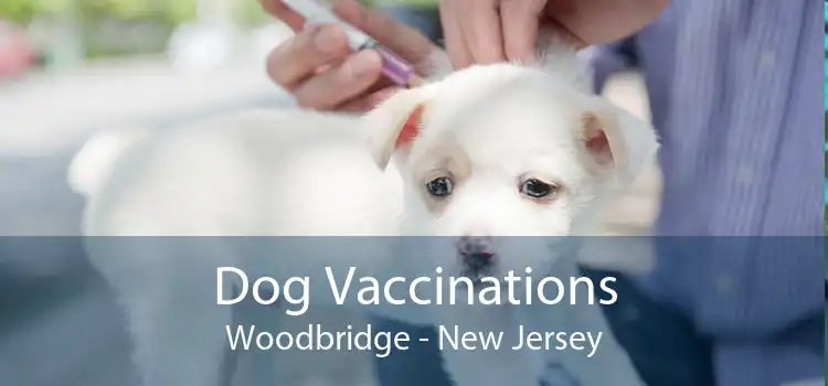 Dog Vaccinations Woodbridge - New Jersey
