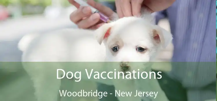 Dog Vaccinations Woodbridge - New Jersey