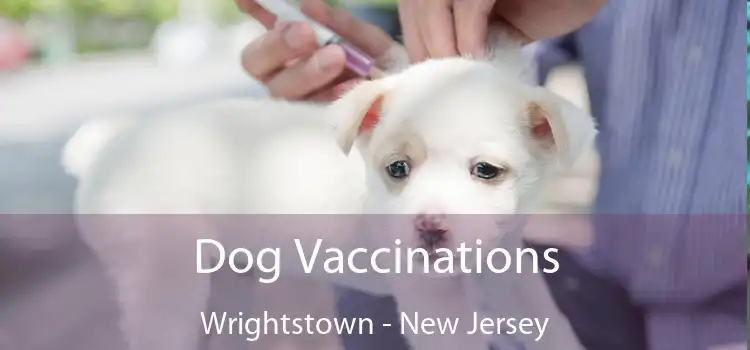 Dog Vaccinations Wrightstown - New Jersey