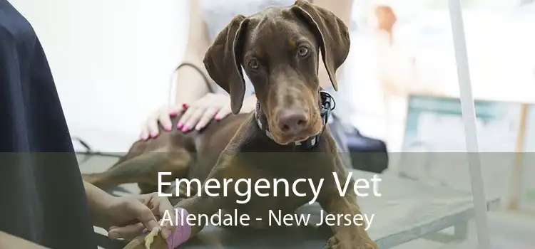 Emergency Vet Allendale - New Jersey