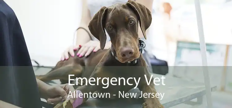 Emergency Vet Allentown - New Jersey