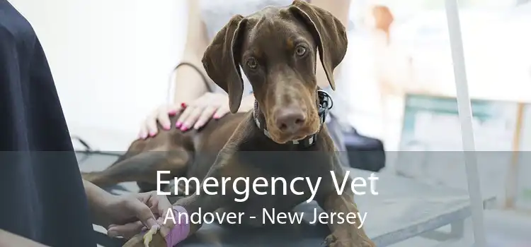Emergency Vet Andover - New Jersey