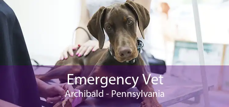 Emergency Vet Archibald - Pennsylvania