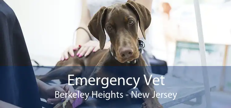Emergency Vet Berkeley Heights - New Jersey