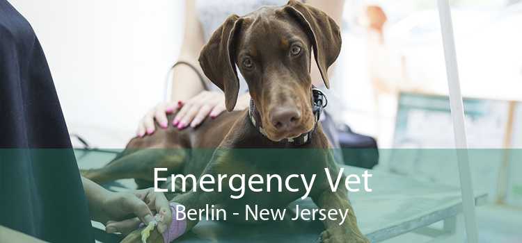 Emergency Vet Berlin - New Jersey