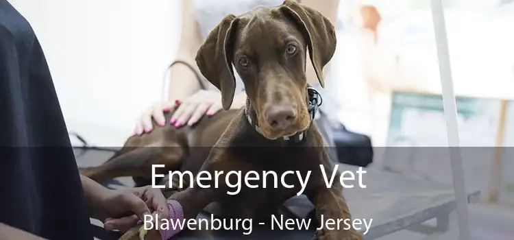 Emergency Vet Blawenburg - New Jersey