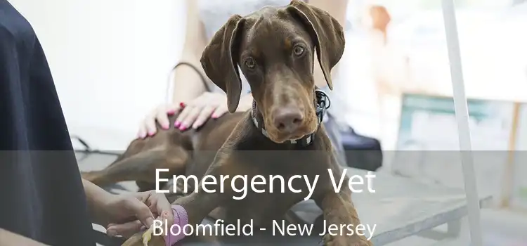 Emergency Vet Bloomfield - New Jersey