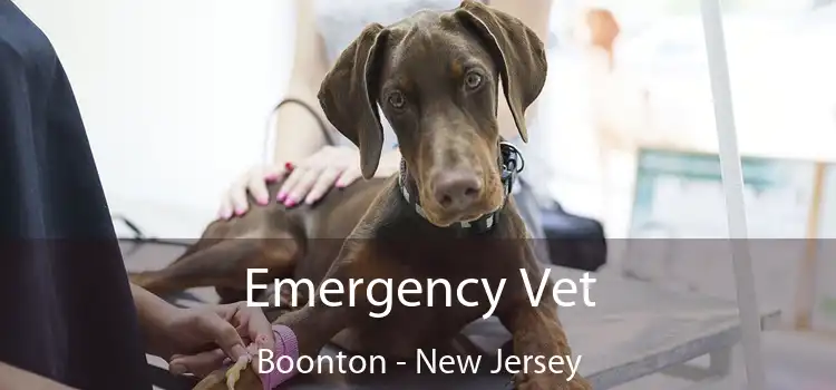 Emergency Vet Boonton - New Jersey