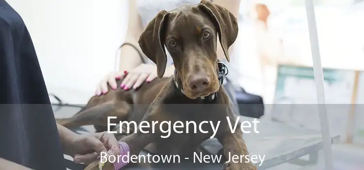 Emergency Vet Bordentown - New Jersey