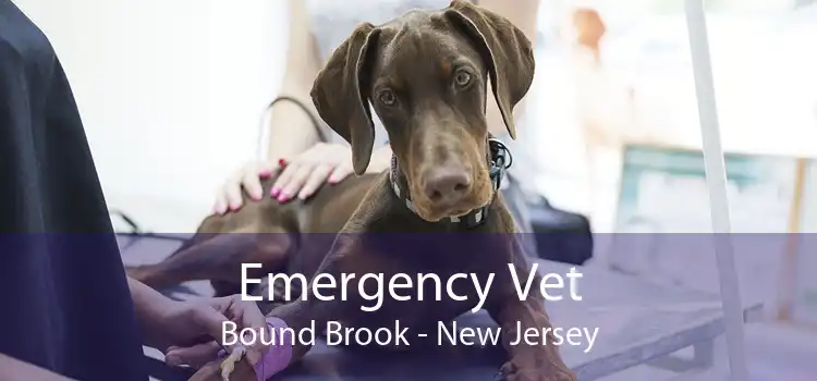 Emergency Vet Bound Brook - New Jersey