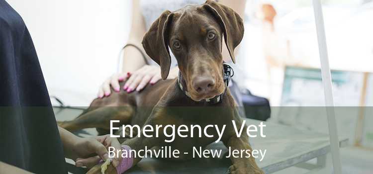 Emergency Vet Branchville - New Jersey