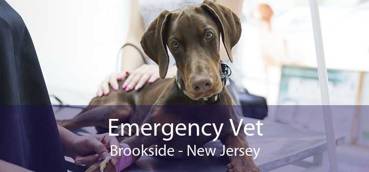 Emergency Vet Brookside - New Jersey