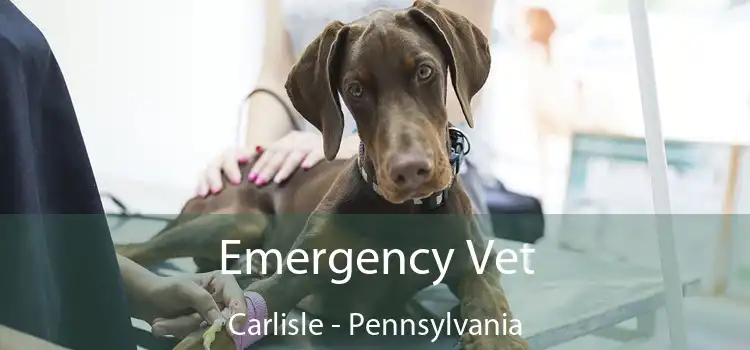 Emergency Vet Carlisle - Pennsylvania
