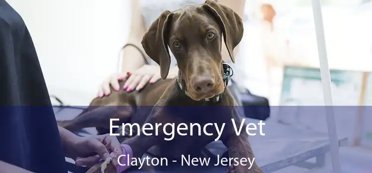 Emergency Vet Clayton - New Jersey