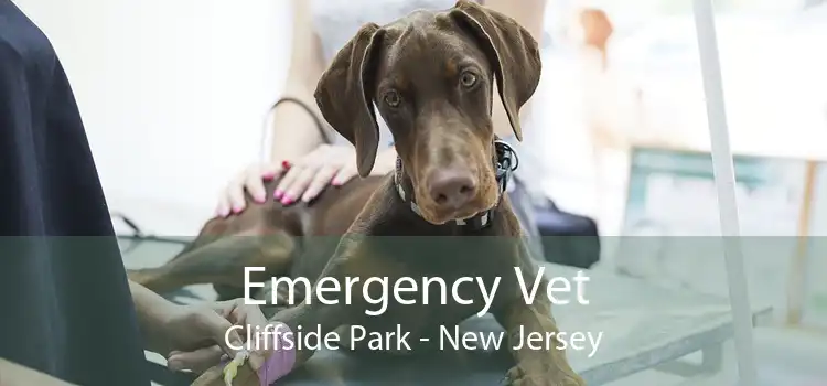 Emergency Vet Cliffside Park - New Jersey