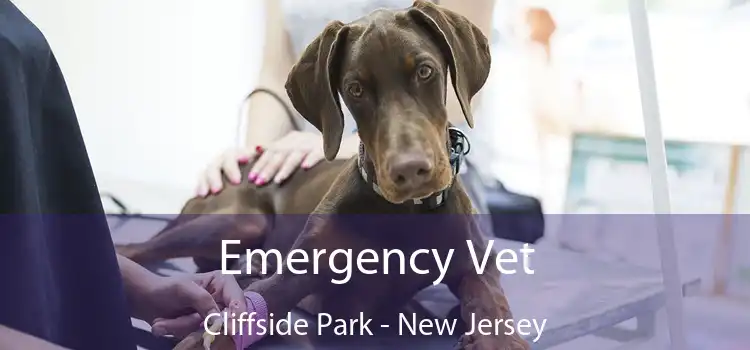 Emergency Vet Cliffside Park - New Jersey